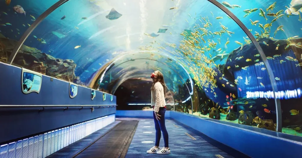 A girl visit Georgia Aquarium